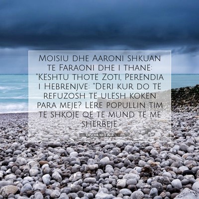 Picture 07 - Eksodi 10:3 ALB - Moisiu dhe Aaroni shkuan te Faraoni dhe i thanë: - Bible Verse Picture