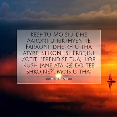 Picture 07 - Eksodi 10:8 ALB - Kështu Moisiu dhe Aaroni u rikthyen te Faraoni; - Bible Verse Picture