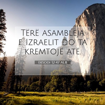 Picture 07 - Eksodi 12:47 ALB - Tërë asambleja e Izraelit do ta kremtojë - Bible Verse Picture