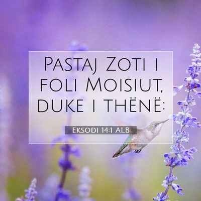 Picture 07 - Eksodi 14:1 ALB - Pastaj Zoti i foli Moisiut, duke i - Bible Verse Picture
