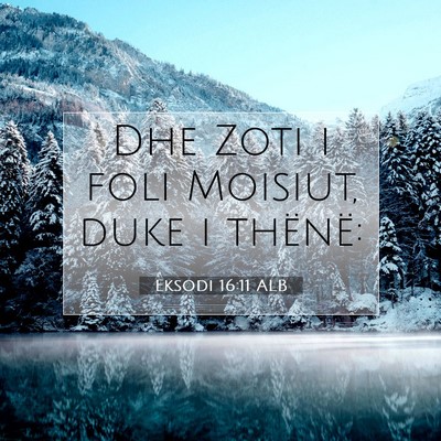 Picture 07 - Eksodi 16:11 ALB - Dhe Zoti i foli Moisiut, duke i - Bible Verse Picture