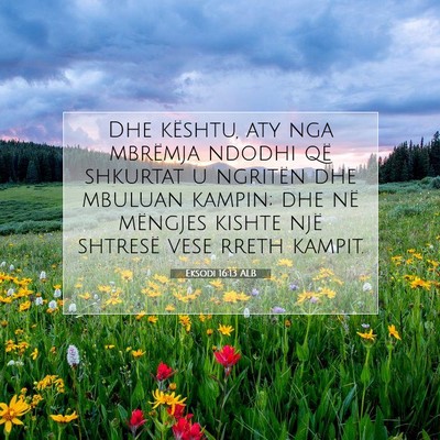 Picture 07 - Eksodi 16:13 ALB - Dhe kështu, aty nga mbrëmja ndodhi që shkurtat - Bible Verse Picture