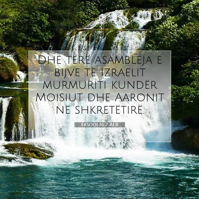 Picture 07 - Eksodi 16:2 ALB - Dhe tërë asambleja e bijve të Izraelit - Bible Verse Picture