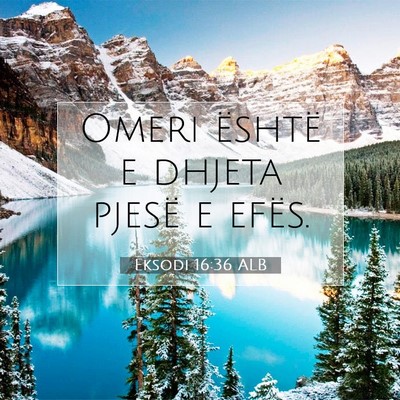 Picture 07 - Eksodi 16:36 ALB - Omeri është e dhjeta pjesë e - Bible Verse Picture