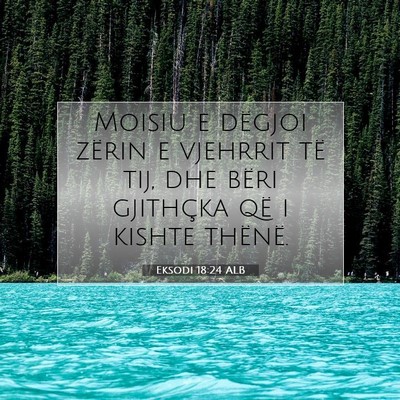 Picture 07 - Eksodi 18:24 ALB - Moisiu e dëgjoi zërin e vjehrrit të tij, dhe - Bible Verse Picture