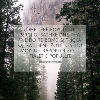 Picture 07 - Eksodi 19:8 ALB - Dhe tërë populli u përgjigj bashkë dhe tha: - Bible Verse Picture