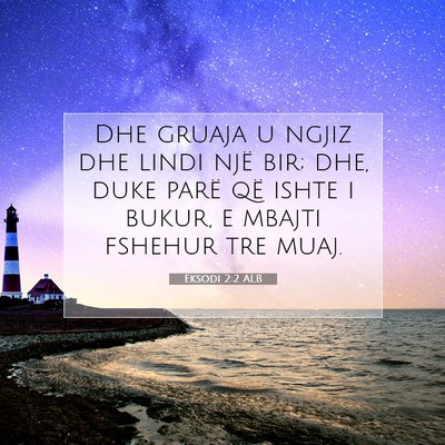 Picture 07 - Eksodi 2:2 ALB - Dhe gruaja u ngjiz dhe lindi një bir; dhe, duke - Bible Verse Picture