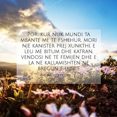 Picture 07 - Eksodi 2:3 ALB - Por, kur nuk mundi ta mbante më të fshehur, - Bible Verse Picture
