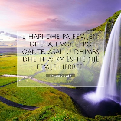 Picture 07 - Eksodi 2:6 ALB - E hapi dhe pa fëmijën; dhe ja, i vogli po - Bible Verse Picture