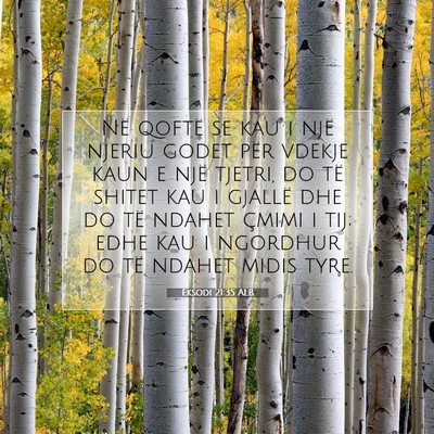 Picture 07 - Eksodi 21:35 ALB - Në qoftë se kau i një njeriu godet për vdekje - Bible Verse Picture