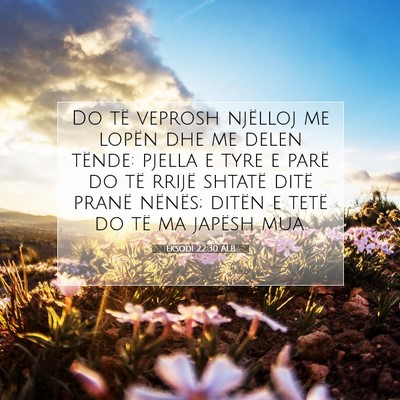 Picture 07 - Eksodi 22:30 ALB - Do të veprosh njëlloj me lopën dhe me delen - Bible Verse Picture