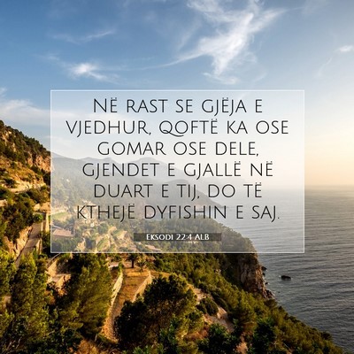 Picture 07 - Eksodi 22:4 ALB - Në rast se gjëja e vjedhur, qoftë ka ose gomar - Bible Verse Picture