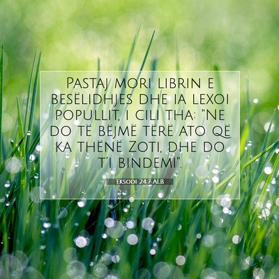 Picture 07 - Eksodi 24:7 ALB - Pastaj mori librin e besëlidhjes dhe ia lexoi - Bible Verse Picture