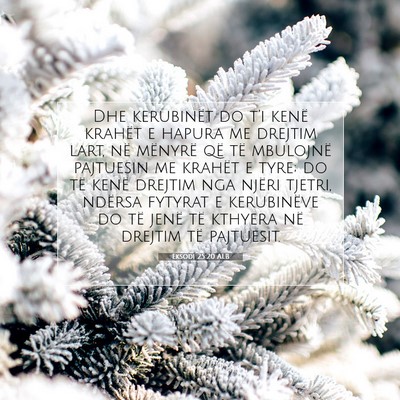 Picture 07 - Eksodi 25:20 ALB - Dhe kerubinët do t’i kenë krahët e hapura me - Bible Verse Picture
