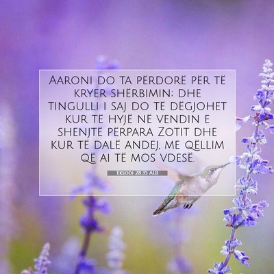 Picture 07 - Eksodi 28:35 ALB - Aaroni do ta përdorë për të kryer shërbimin; - Bible Verse Picture
