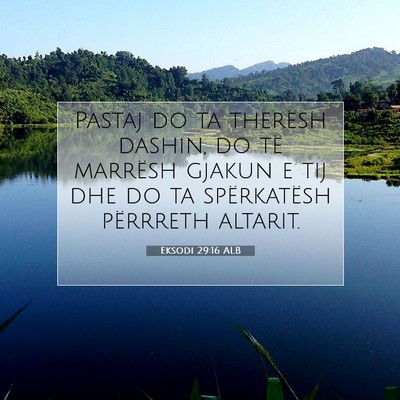 Picture 07 - Eksodi 29:16 ALB - Pastaj do ta therësh dashin, do të marrësh - Bible Verse Picture