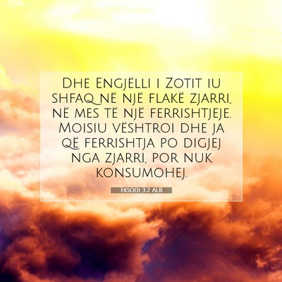 Picture 07 - Eksodi 3:2 ALB - Dhe Engjëlli i Zotit iu shfaq në një flakë - Bible Verse Picture