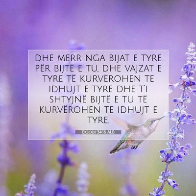 Picture 07 - Eksodi 34:16 ALB - dhe merr nga bijat e tyre për bijtë e tu, dhe - Bible Verse Picture
