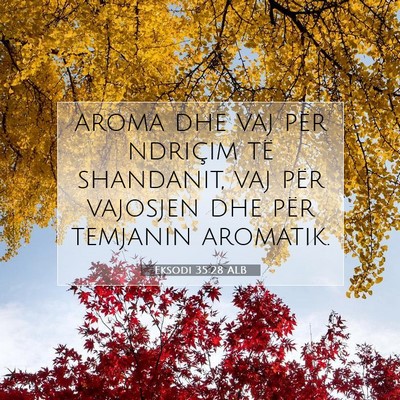 Picture 07 - Eksodi 35:28 ALB - aroma dhe vaj për ndriçim të shandanit, vaj - Bible Verse Picture