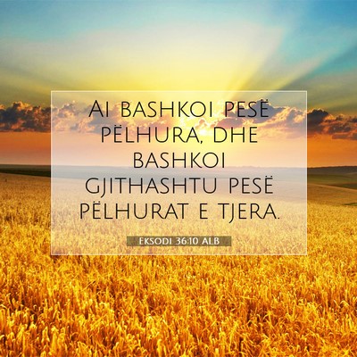 Picture 07 - Eksodi 36:10 ALB - Ai bashkoi pesë pëlhura, dhe bashkoi gjithashtu - Bible Verse Picture