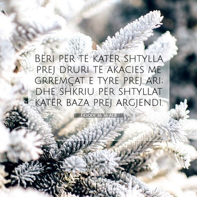 Picture 07 - Eksodi 36:36 ALB - Bëri për të katër shtylla prej druri të - Bible Verse Picture