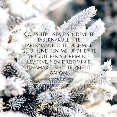 Picture 07 - Eksodi 38:21 ALB - Kjo është lista e sendeve të tabernakullit, - Bible Verse Picture