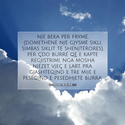 Picture 07 - Eksodi 38:26 ALB - një beka për frymë, (domethënë një gjysmë - Bible Verse Picture