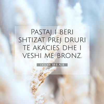 Picture 07 - Eksodi 38:6 ALB - Pastaj i bëri shtizat prej druri të akacies dhe - Bible Verse Picture