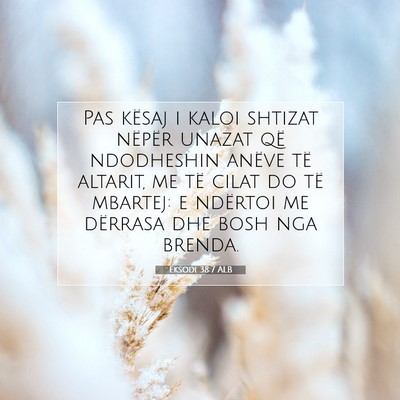 Picture 07 - Eksodi 38:7 ALB - Pas kësaj i kaloi shtizat nëpër unazat që - Bible Verse Picture