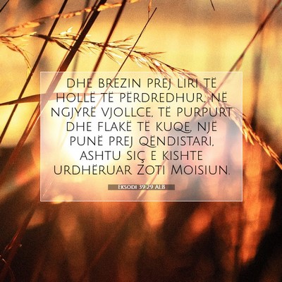 Picture 07 - Eksodi 39:29 ALB - dhe brezin prej liri të hollë të përdredhur, - Bible Verse Picture