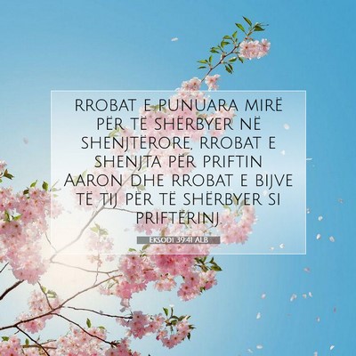 Picture 07 - Eksodi 39:41 ALB - rrobat e punuara mirë për të shërbyer në - Bible Verse Picture