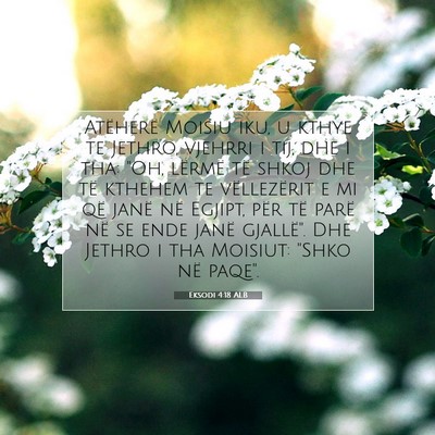 Picture 07 - Eksodi 4:18 ALB - Atëherë Moisiu iku, u kthye te Jethro, vjehrri - Bible Verse Picture