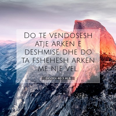 Picture 07 - Eksodi 40:3 ALB - Do të vendosësh atje arkën e dëshmisë dhe do - Bible Verse Picture