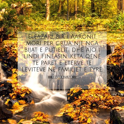 Picture 07 - Eksodi 6:25 ALB - Eleazari, bir i Aaronit, mori për grua një nga - Bible Verse Picture