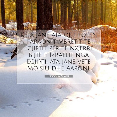 Picture 07 - Eksodi 6:27 ALB - Këta janë ata që i folën Faraonit mbretit të - Bible Verse Picture