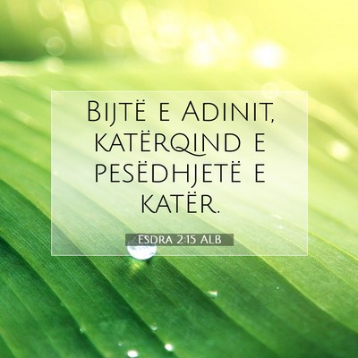 Picture 07 - Esdra 2:15 ALB - Bijtë e Adinit, katërqind e pesëdhjetë e - Bible Verse Picture