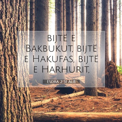 Picture 07 - Esdra 2:51 ALB - bijtë e Bakbukut, bijtë e Hakufas, bijtë e - Bible Verse Picture