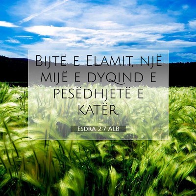 Picture 07 - Esdra 2:7 ALB - Bijtë e Elamit, një mijë e dyqind e - Bible Verse Picture
