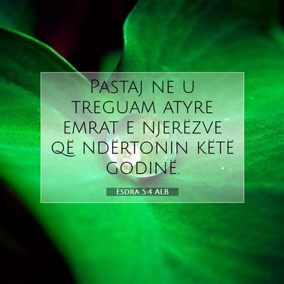 Picture 07 - Esdra 5:4 ALB - Pastaj ne u treguam atyre emrat e njerëzve që - Bible Verse Picture