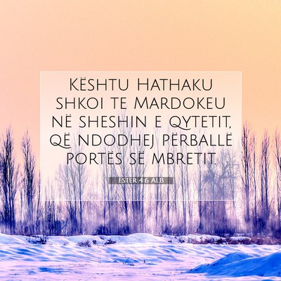 Picture 07 - Ester 4:6 ALB - Kështu Hathaku shkoi te Mardokeu në sheshin e - Bible Verse Picture