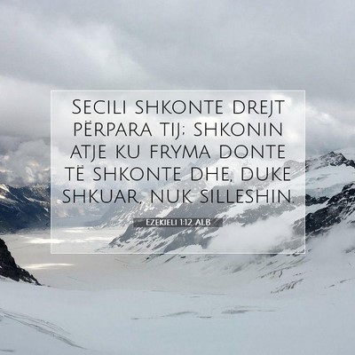 Picture 07 - Ezekieli 1:12 ALB - Secili shkonte drejt përpara tij; shkonin atje - Bible Verse Picture