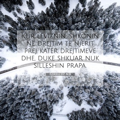 Picture 07 - Ezekieli 1:17 ALB - Kur lëviznin, shkonin në drejtim të njerit - Bible Verse Picture