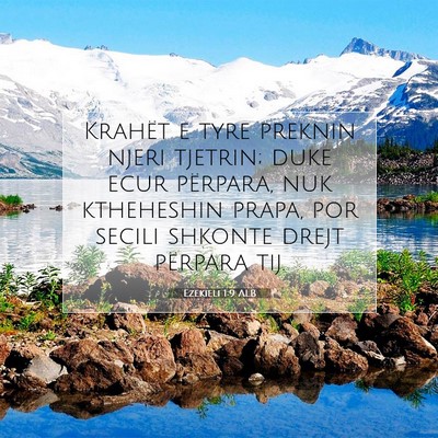 Picture 07 - Ezekieli 1:9 ALB - Krahët e tyre preknin njeri tjetrin; duke ecur - Bible Verse Picture