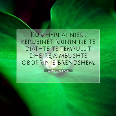 Picture 07 - Ezekieli 10:3 ALB - Kur hyri ai njeri, kerubinët rrinin në të - Bible Verse Picture