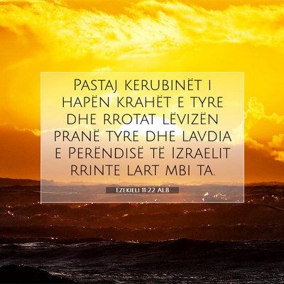 Picture 07 - Ezekieli 11:22 ALB - Pastaj kerubinët i hapën krahët e tyre dhe - Bible Verse Picture
