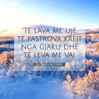 Picture 07 - Ezekieli 16:9 ALB - 