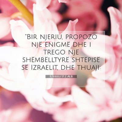 Picture 07 - Ezekieli 17:2 ALB - 