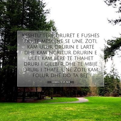 Picture 07 - Ezekieli 17:24 ALB - Kështu tërë drurët e fushës do të mësojnë - Bible Verse Picture