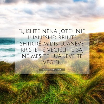 Picture 07 - Ezekieli 19:2 ALB - 