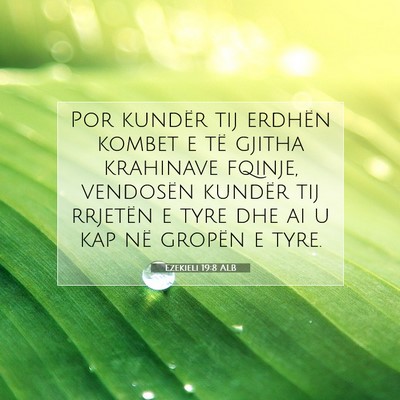 Picture 07 - Ezekieli 19:8 ALB - Por kundër tij erdhën kombet e të gjitha - Bible Verse Picture
